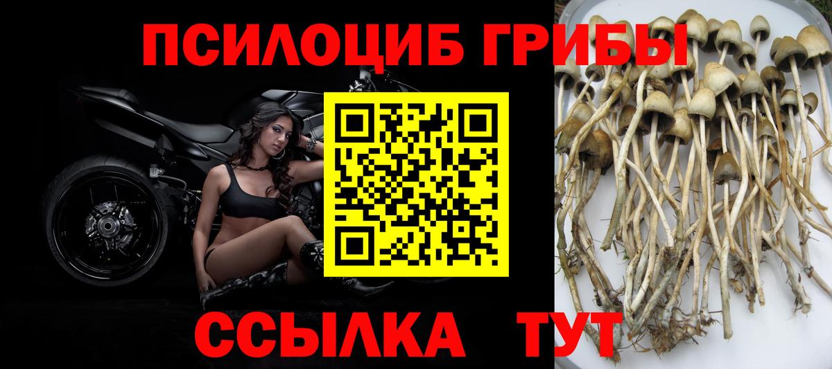 Бутурлиновка  Псилоцибиновые грибы ЛСД  Вход с VPN 