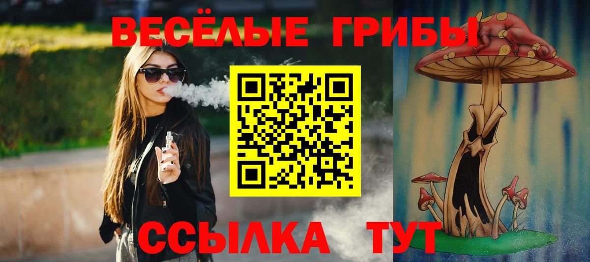 Псилоцибиновые грибы мицелий Бутурлиновка